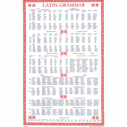 Latin Grammar Tea Towel